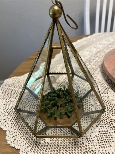 Brass and glass terrarium - brass,