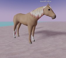 Wild Horse Islands  🌸 ND