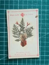 vn373 pious image - circa 1900 herbarium flowers of the Mount of Olives