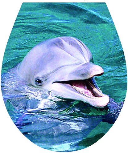 Dauphin toilette siège - 'dauphin',