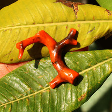 Spécimen minéral de