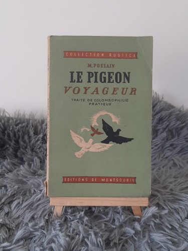 Pigeon voyageur m - pigeon,