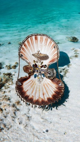 Seashell jewelry holder - seashell,