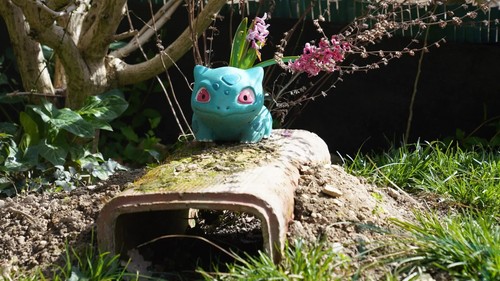 Pot fleur pokémon - pot, de