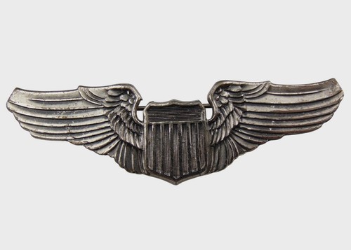 Brevet pilote pilot - de,