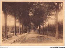 AKBP10-0884-BELGIQUE -