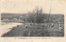 58 EN NIVERNAIS LE MOUTONS 13401