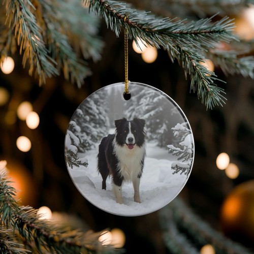 Border collie collectible - collie,