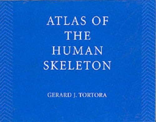 Atlas squelette humain - atlas,