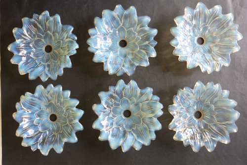 Coupelles tulipe lustre - coupelles,