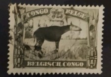 Congo Belge Okapi 1941