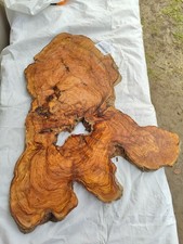 Rare dalle à bords vivants en