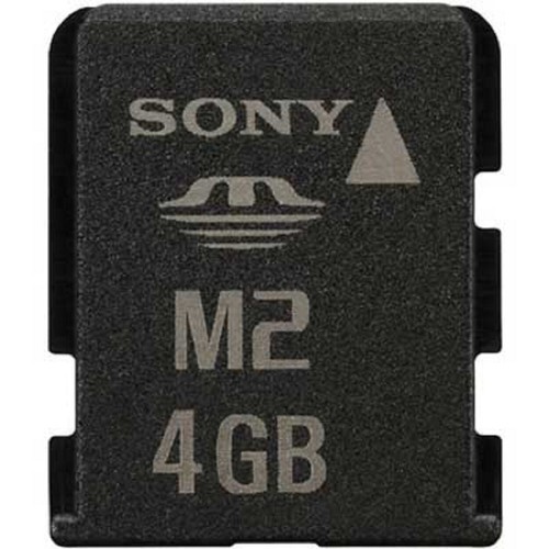 Carte mémoire memory - go,