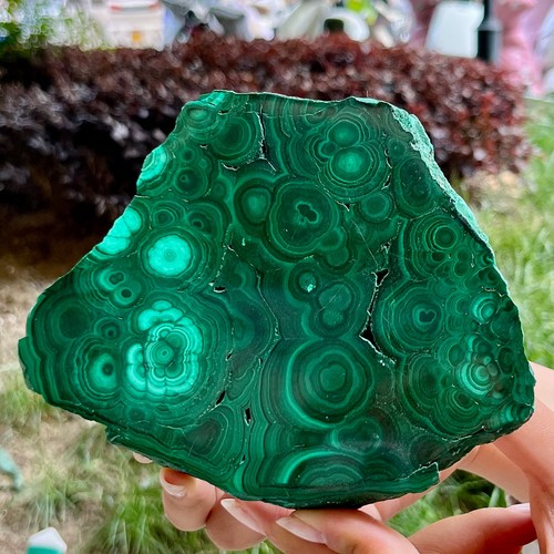 562 semi polished malachite - 562,