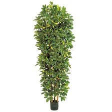 Schefflera artificiel en