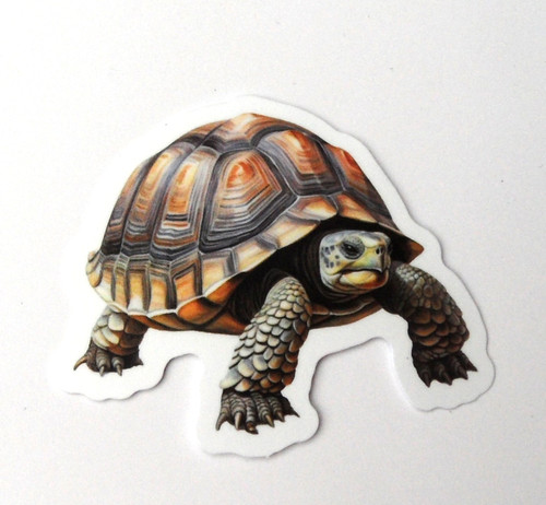 Vianille sticker thème - -,