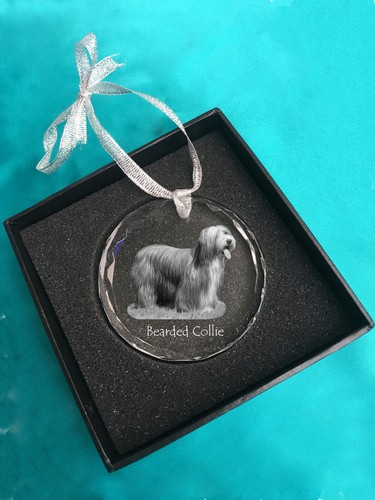 Bearded collie collier - bearded,