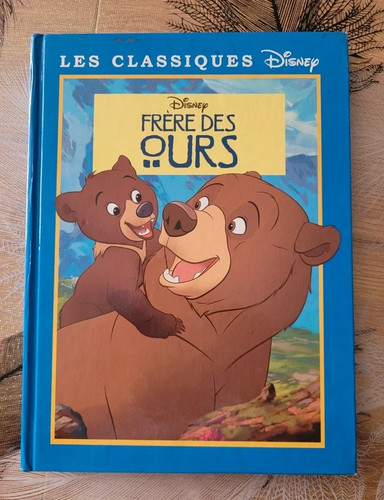 Livre frère des ours - frère,