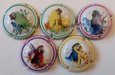 5 BELLES CAPSULES CHAMPAGNE