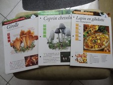 EDITIONS ATLAS - Les