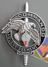 Insigne Commando 1° RPIMA
