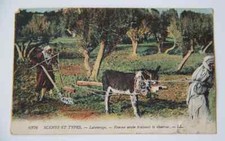 CPA Carte Postale ancienne