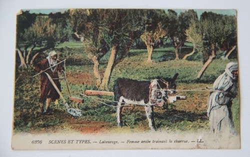 Cpa carte postale ancienne - cpa,