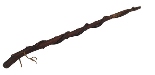Canne gravé poilu bois - canne,