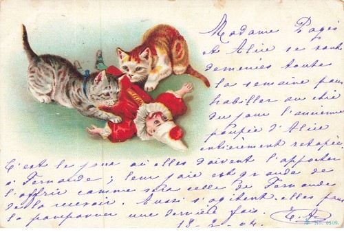 Chat chatons jouant - -,