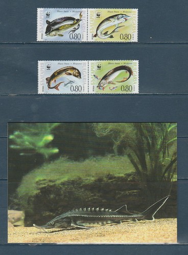 Wwf bulgarie faune - vie, marine