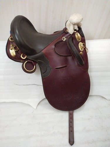 Belle selle australienne - , en