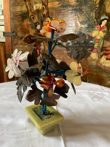 Arbre miniature asiatique jade - miniature,