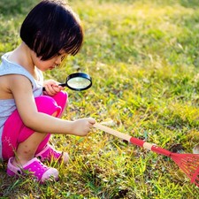  Râteau de jardin râteau à feuilles de jardin râteau à arbustes de jardin râteau