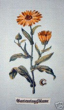 Un panneau décoratif