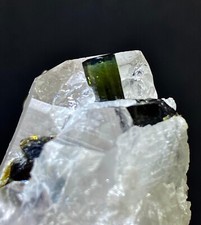 Magnifique spécimen de