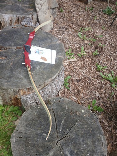 Vintage hoyt archery pro - vintage,