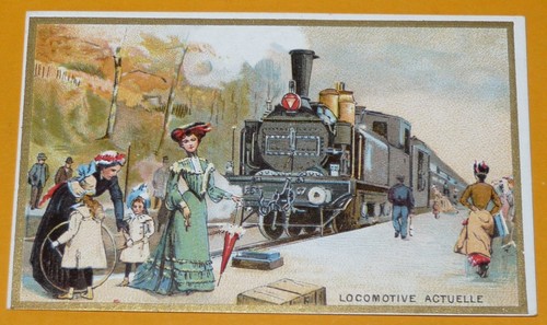 Chromo 1900 1914 chicoree - chromo,