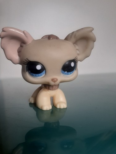 Authentic littlest pet - littlest,