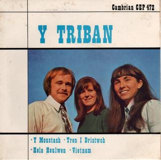 Triban used vinyl record - triban,