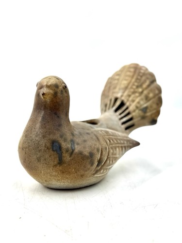 Pigeon paon pique - , en