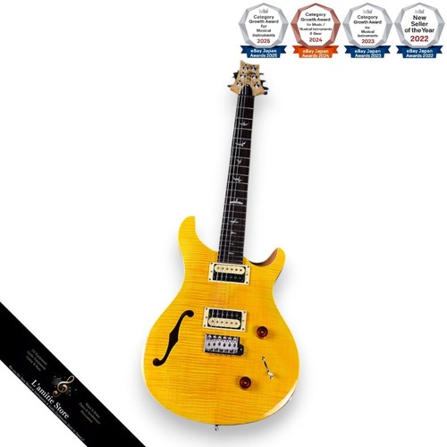 Guitare électrique prs - prs, se