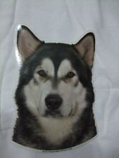 GRAND AUTOCOLLANT - motif