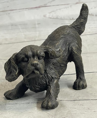 Cavalier king charles spaniel - cavalier,