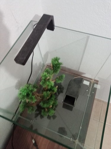 Aquarium complet litres - aquarium,