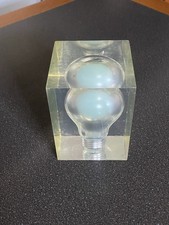 pierre giraudon Inclusion