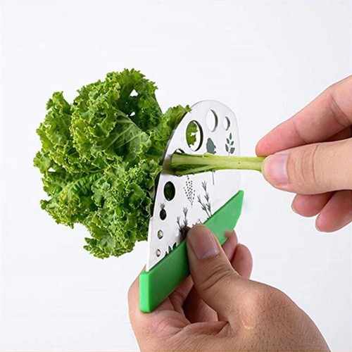 Coupe légumes herbes - 9,