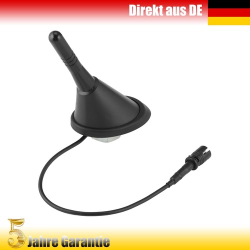 Car motor vehicle - short, rod