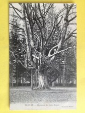 Old postcard FRANCE 27 BERNAY Eure TREE TREE Robinson de Saint Leger Escalier Colimacon