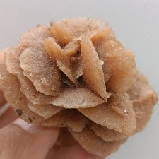 Rose des Sables (60 g) - Gypse