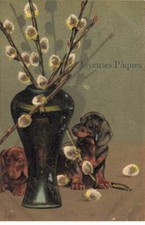 DOG #FG53053 DACHSHUND HAPPY EASTER DACHSHUND DACHSHUND 2 PUPPIES BEHIND CACHES